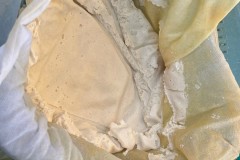 004e4a2a5fcb924b3a8317a524fddc64