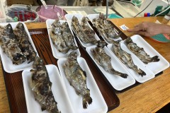 LINE_ALBUM_20230810_230816_138