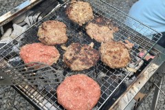 aa4b4f234e97d6d9d31877d436574c49