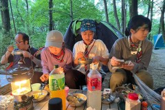 b5a01e47c44134db4c73b7d3251bea33