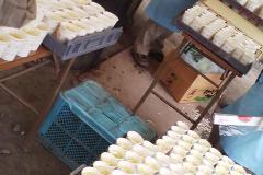 545559_232372976895670_231934339_n