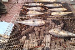 734851_232372943562340_173384083_n